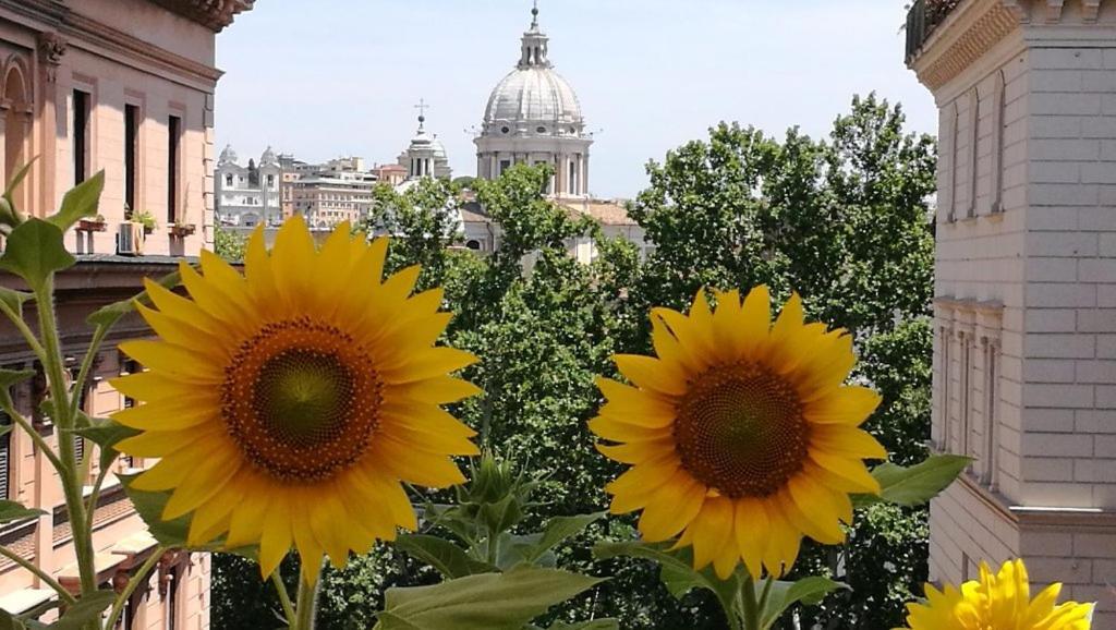 Residenza Cavallini Rome Exterior photo